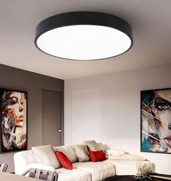 Erika Scandinavian Colourful Slim Round Ceiling Light | Screed