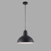 Anviro Industrial Dome Pendant Lamp