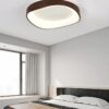 Ceciliar Modern Wavy Rectangular Ceiling Lamp - dorm ceiling lamp