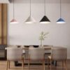 Dorothes Resin Single Head Pendant Lamp - dining room pendant light