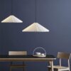 Dorothes Resin Single Head Pendant Lamp - dining table resin pendant light