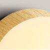 Ingvild Round Frosted Globe Wall Lamp - closeup of globe lamp