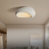 Luddegor EggShell Shape Ceiling Lamp - living room ceiling lamp