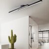 Torhild Twin Rectangular Ceiling Lamp - office ceiling lamp