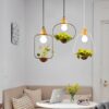 Plantarim Frame Plant Pot Pendant Lamp