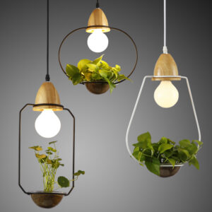 Plantarim Frame Plant Pot Pendant Lamp