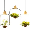 Plantarim Frame Plant Pot Pendant Lamp all models