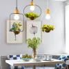 Plantarim Frame Plant Pot Pendant Lamp dining garden light