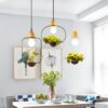 Plantarim Frame Plant Pot Pendant Lamp garden light