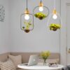 Plantarim Frame Plant Pot Pendant Lamp living room oasis