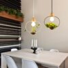 Plantarim Frame Plant Pot Pendant Lamp study table light