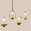 Plantarim Frame Plant Pot Pendant Lamps