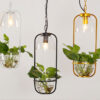 Plantarsol-Oval-Plant-Pot-Pendant-Lamp