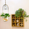 Plantarsol Oval Plant Pot Pendant Lamp - entrance pendant