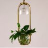 Plantarsol Oval Plant Pot Pendant Lamp - golden pendant