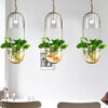 Plantarsol Oval Plant Pot Pendant Lamp - parlour pendant lamp