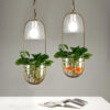 Plantarsol Oval Plant Pot Pendant Lamp - study table pendant