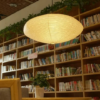 Roffewa Lantern Pendant Lamp - library pendant lamp