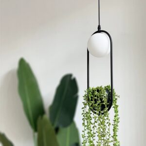 Plant Pot Pendant Light - White Light