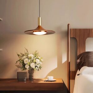 Wooden Plate Pendant Light - Guest room Light